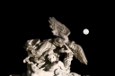 EUM20260302SOC19.JPG